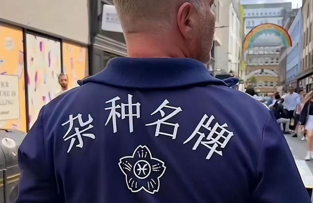 文化衫 文化衫定制 中文文化衫定制-留學生的文化衫上印著的中文極具特色，網友們在評論區笑翻了，紛紛表示“拆”字是整件衣服的靈魂所在