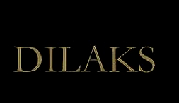 DILAIKESI迪萊珂斯-為成功白領(lǐng)女性打造的時尚與優(yōu)雅融合的品牌