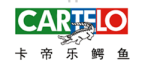 卡帝樂鱷魚（CARTELO）：從新加坡到全球的休閑男裝品牌傳奇